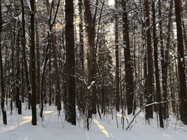 �� ������ ���������� ����, � ����� �� ������ ��� ������� �� ���������� ��������� ����� � 1936 ����