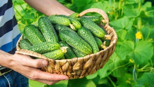 ���������� ����������� �������: �������� ��������� � ��������