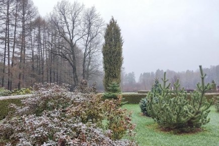 ������������ ���-�������� ������-��� ���������� ����� � �������� ���������������� ������, ������������ ����� � ���������� ������� ������������ ��������