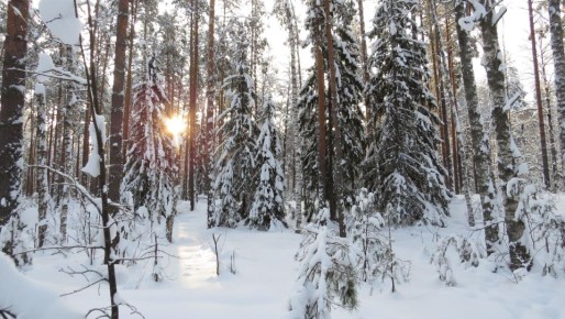 � ����������� �������� ������� ���������� ������ ���������� ����