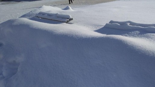 � ����� �� �� ��� ��� ������ �������� ����� �����