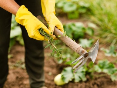 ������� � �������: ��� �� ���� ������ ���������� ������