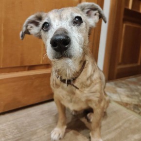 ������ ��������� ����! ����� ���� ���� ������� ��� ������������ �����, �������� ������� � �����������