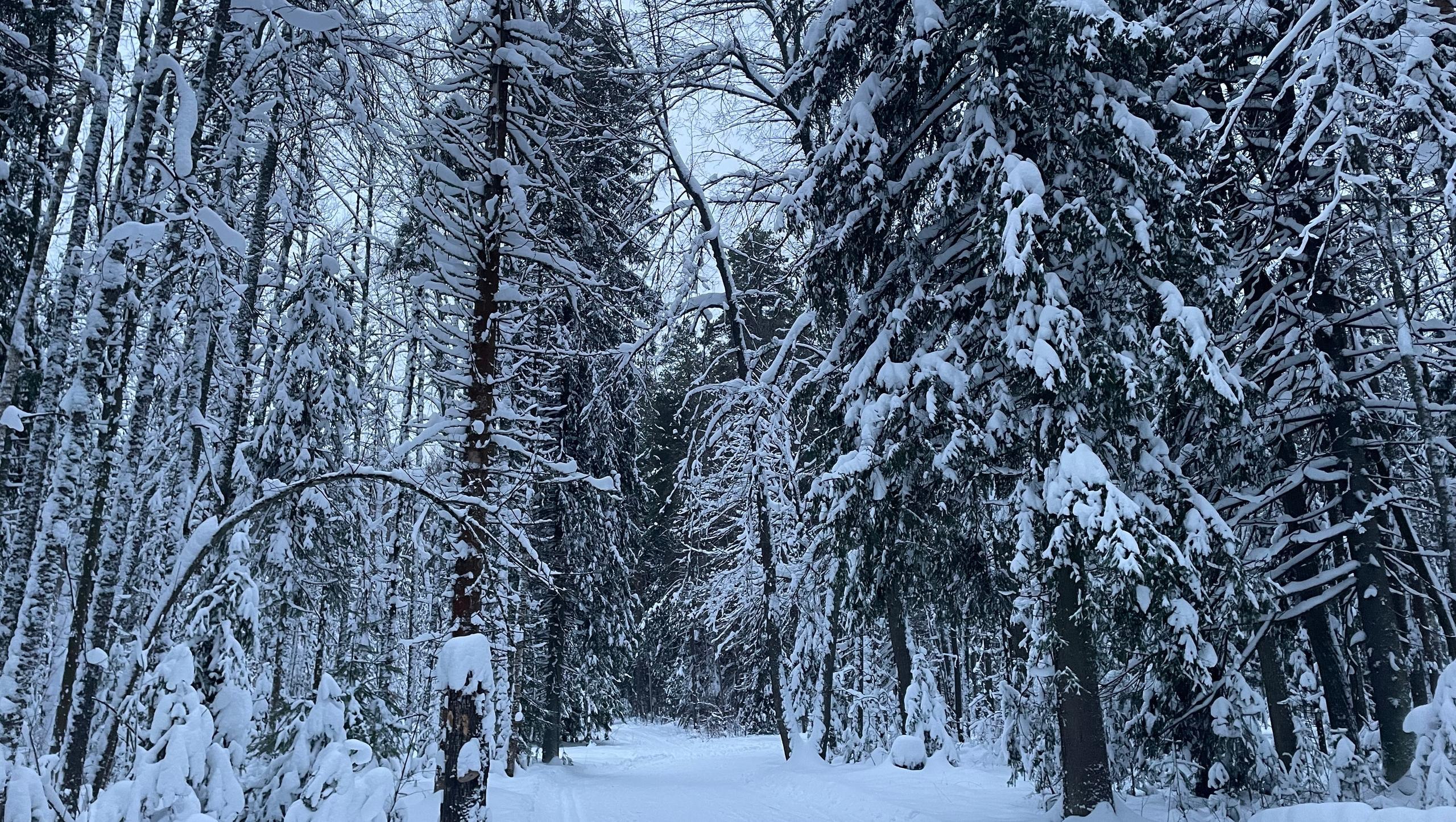 Марий Эл в ближайшие дни ждёт суровая погода