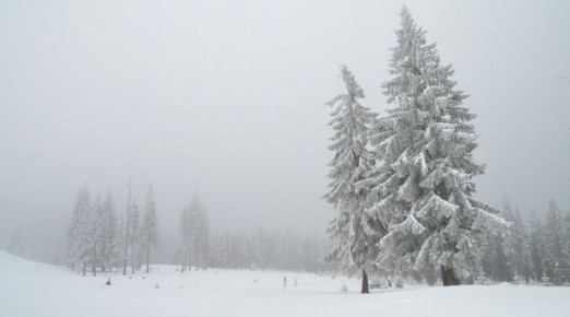 � ����� �� ������� ����� ������������ ������� ����, ������, �����