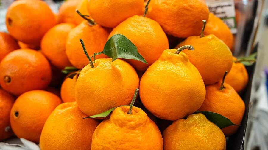Как правильно включить мандарины в зимний рацион: советы нутрициолога
