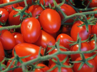 ��� �������� ������� ���������: ������� ��������� �����