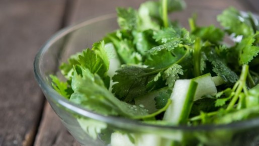 ���������: �������� �������� � ���������� �����������