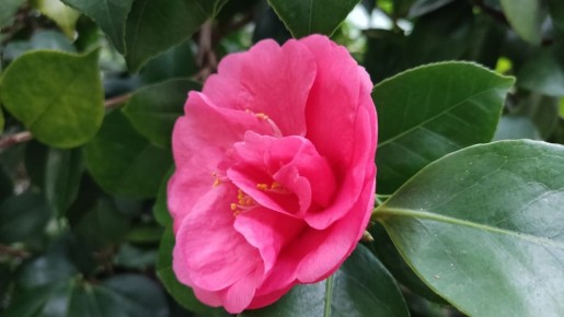 � ������-��� ����� ������, ��-�� �������� � ����� �������� ����� �������