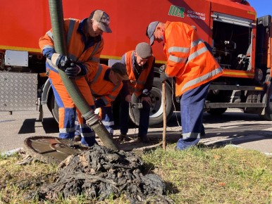 �������� ��� �����������: ��� �������� ������ ��������