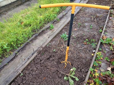 ��� ������������ ����� ������: ������� �������� ��� ������� ���������