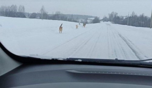 � ����� �� ����������� �� �������� �������������� �������� �� ���������� � �������� �� ����������� ���� ����� � ������� ��������� � ������������ ������