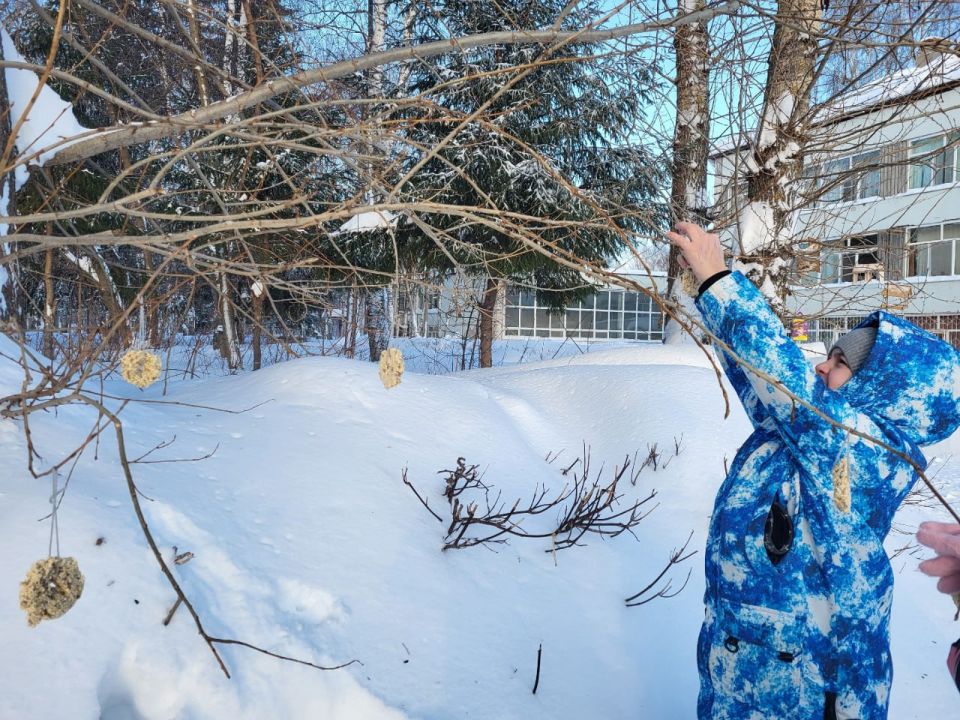 ������ �� ����� �27 �������� ������ �������� �������� ����!