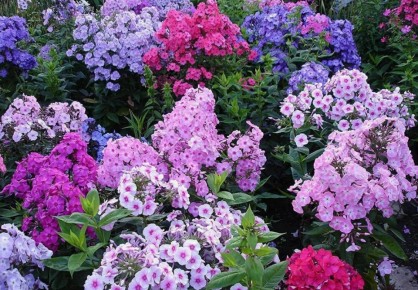 ������: �������, ���� � ���������� ����� ��� ������ ����