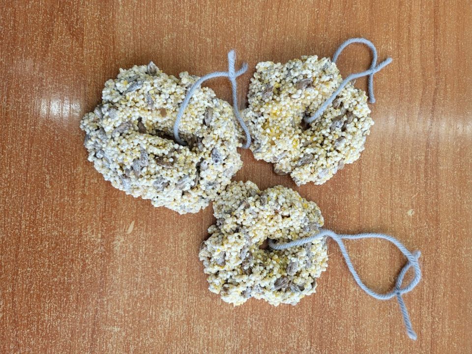 ������ �� ����� �27 �������� ������ �������� �������� ����!