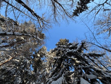 ������� � ����� �� ���������� ����������, ��������������� ��� �������