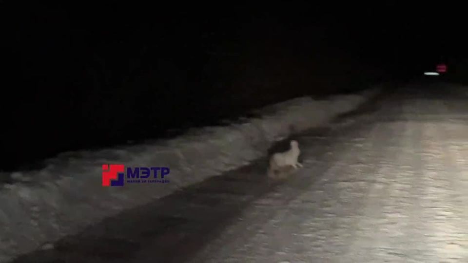 ��� �� ��� ���� ������ � ��������, ������� ����� ������, � ��� ����� �� ��������� �����