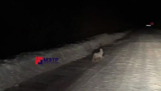 ��� �� ��� ���� ������ � ��������, ������� ����� ������, � ��� ����� �� ��������� �����