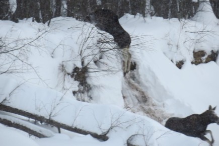 ���� � ����� �� ���������, ��� �������� � ����� � ��������� ���������