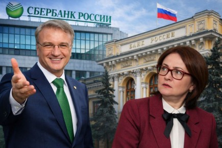 ���� �������� ������ �� �������: ����������� ��������� �� ���������� �����