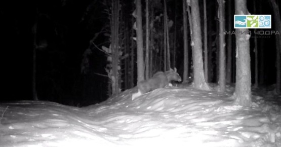 ���� � ��������� ����� ������������� ��������� �����������������, ���������������� � ������� ������ ��������