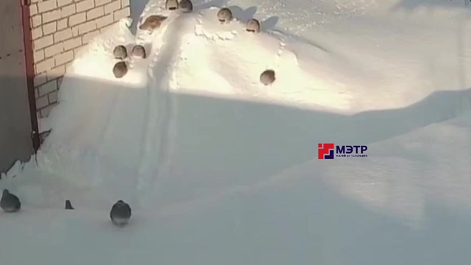 ��������� �������� ������� ��������� � ����� �� �������� ��������� ������