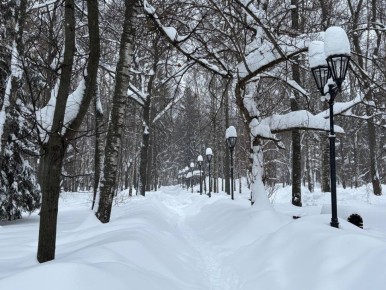 ������� � ����� �� �������� � ������������ ������, ��������� ����