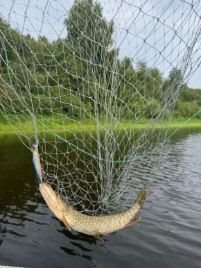 ����� ��� �����������: ��������� ����� �� ����� ���