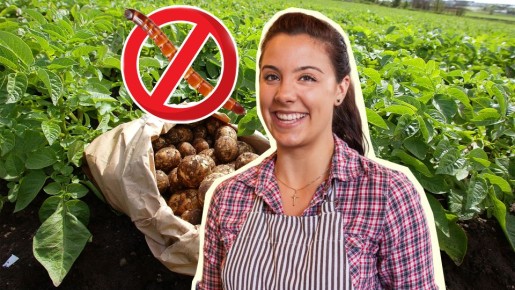 ����������� � ������ �������� �� �������: ������� ���� ������� ����