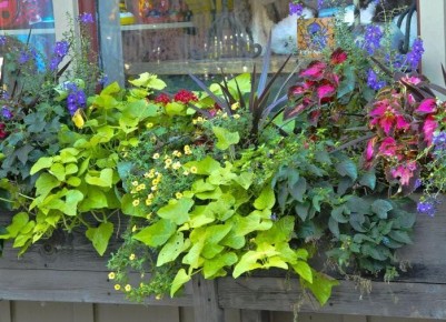 ������������ �����������: �������� ���� ������ � ��������� ��������