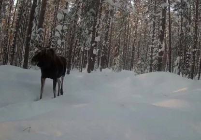 � ����������� �������� ������� ����������� ������ ������� �������� ������� ���������� ����