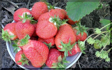 �������� � ����� �������: ������� ����� � �����������