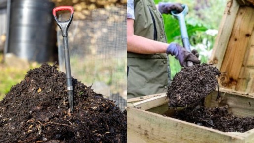 ���������� ��������������� �� ��� ������: ������� �������� �� ��������