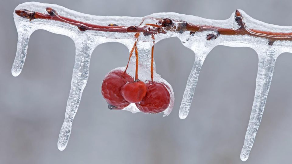 � ����� �� � �������� ��� �������� ����������� ���������� �� +4�