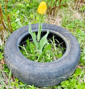 ��� ������������� ������ �������� � ���������� �������� ������� �������