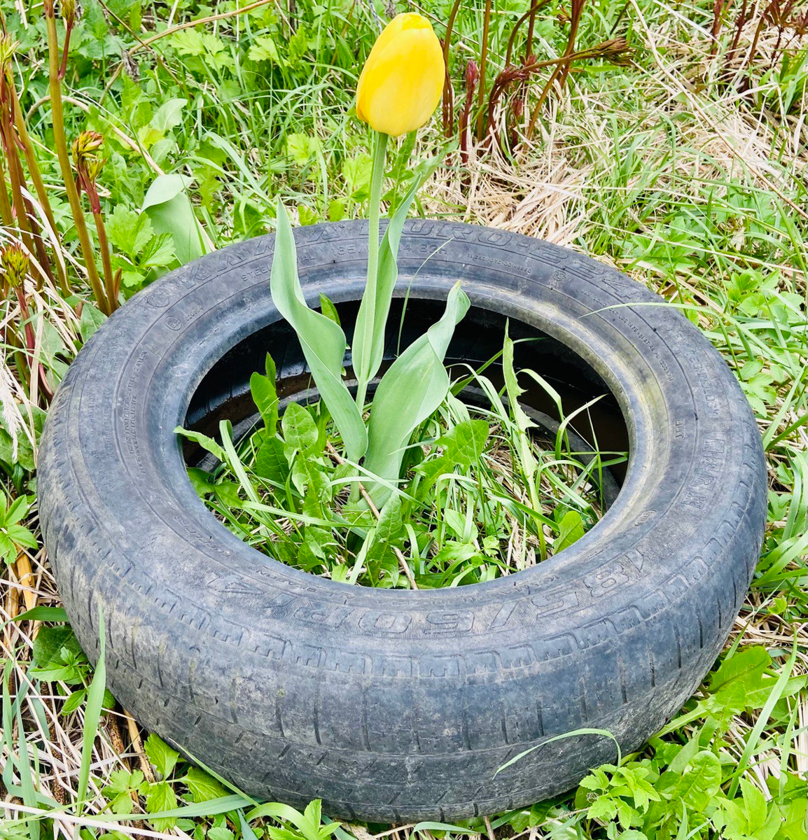 Как преобразовать старые покрышки в уникальные элементы дачного дизайна
