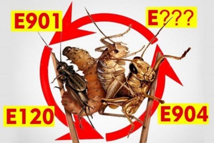 ��������� ������� � ����� �������: ��� �� ��������� ���������� � ����� ������� ���������?