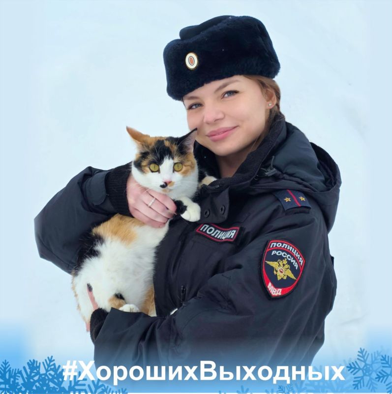 Даже в серьезной работе есть место для милых моментов