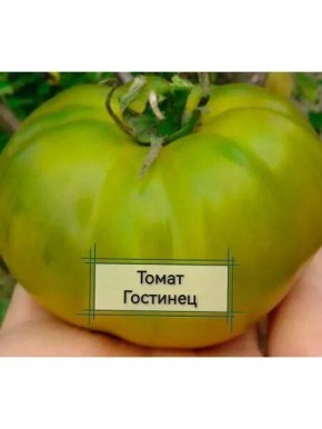 ����� ��������: ������� ����������� ������� � ����� ������