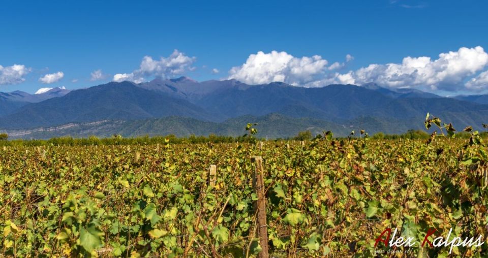 �������: ��������� ���� � ������� �������� ������