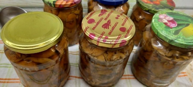 ������ ������: ��� �������� ������ ����� ��������� �����������