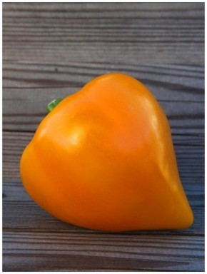 ������� ����� ���� �����: ��� ��������� ��������� ������� �� ���� �������