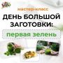 Как превратить зелень в кулинарный шедевр: откройте для себя «День Большой Заготовки»