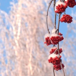 ������������ �� �����. ����������� �� ����� �����