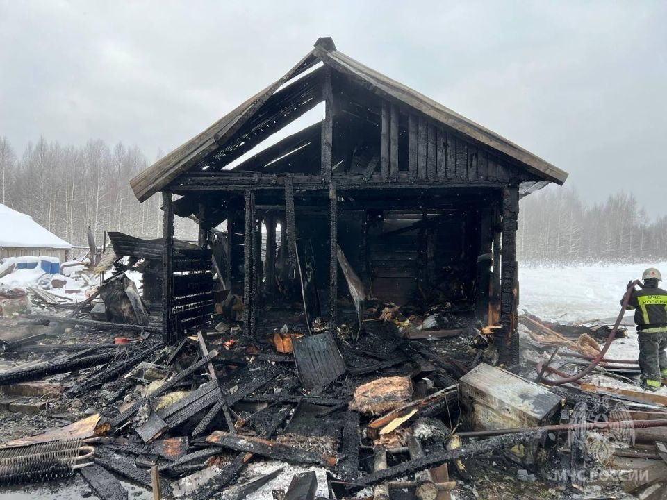 На прошлой неделе, в период с 9 по 15 февраля, в Марий Эл произошло 12 пожаров