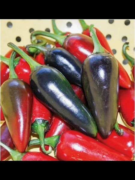 ���������� ������ �����: ���������� ���� � �������������� �������� ��������������