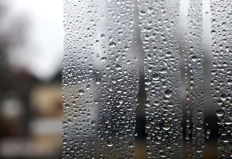 ��� ���������� �� ���������� �� ����� ������ � ��������: ������ ����� ���������