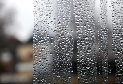 ��� ���������� �� ���������� �� ����� ������ � ��������: ������ ����� ���������