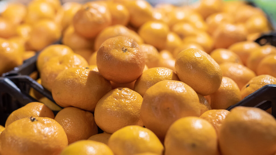 Кремовая борьба: чемпионат по очистке мандаринов в Железноводске