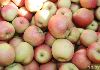 ��� ������� ��������� ������ � ��������: ������ ���������